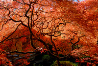 Portland_Jap_Gardens_and_Columbia_Gorge_2013-1405-Edit
