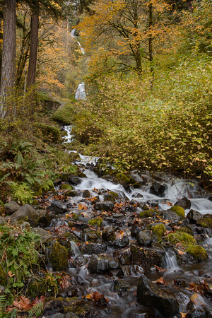 Portland_Jap_Gardens_and_Columbia_Gorge_2013-1530-2