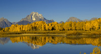 Oxbow Bend in Morning Sun new