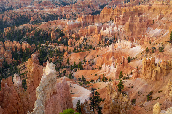 Bryce Canyon up close in morning.jpg